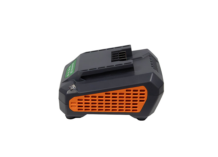 CARGADOR 2,5A BATERÍA 60V ANOVA