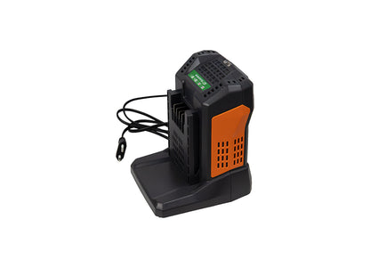 CARGADOR 5,5A BATERÍA 60V ANOVA
